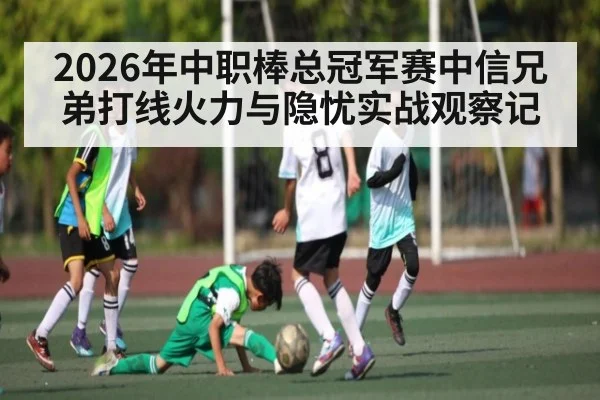 2026年中职棒总冠军赛中信兄弟打线火力与隐忧实战观察记